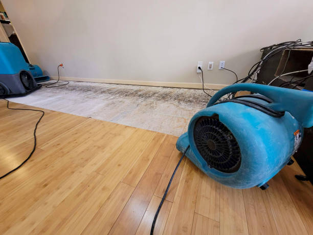 Professional Water Removal technician working in Alto, GA